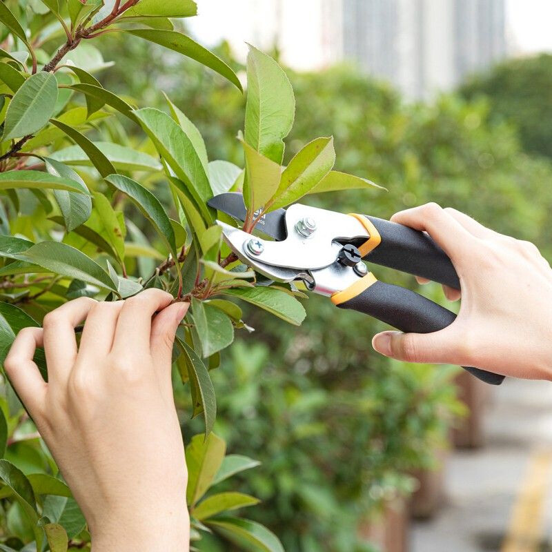 Секатор Deli DL580205 - фото 3