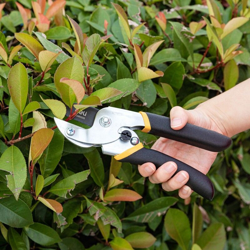 Секатор Deli DL580205 - фото 5