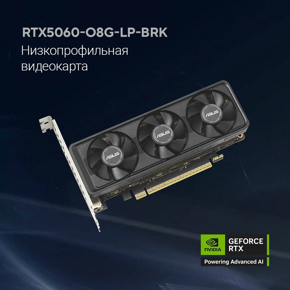 Видеокарта NVIDIA GeForce RTX 5060 ASUS LP BRK 8Gb OC (RTX5060-O8G-LP-BRK) - фото 11
