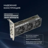 Видеокарта NVIDIA GeForce RTX 5060 ASUS LP BRK 8Gb OC (RTX5060-O8G-LP-BRK)