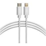 Сетевое зарядное устройство Rexant 16-0234-4