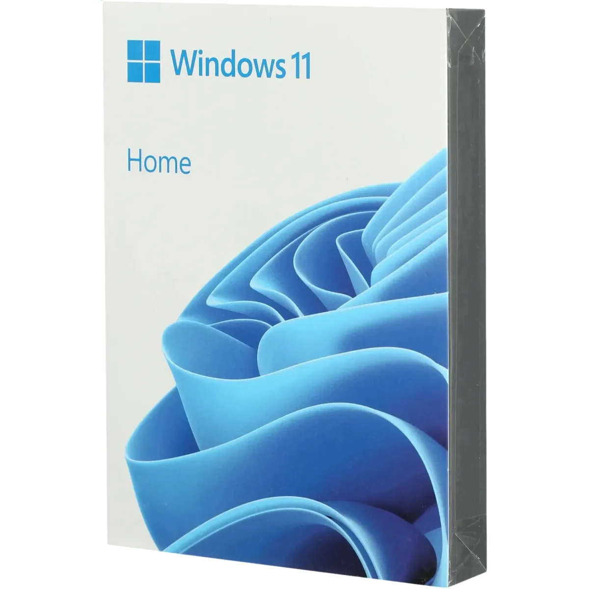 ПО Microsoft Windows 11 Home 64-bit Russian Intl USB BOX (HAJ-00089)