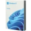 ПО Microsoft Windows 11 Home 64-bit Russian Intl USB BOX (HAJ-00089)