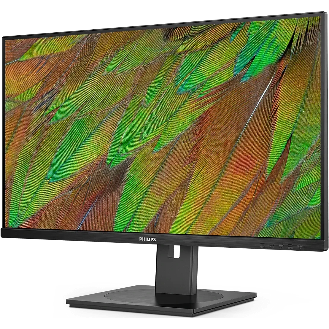 Монитор Philips 32" 32B1U3900 - фото 2