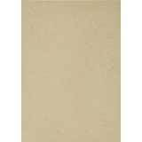 Обложки для переплёта ProMEGA Office A4 Beige Leather, 100 шт. (254599)