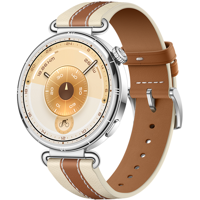 Умные часы Huawei Watch GT 6 41mm Brown