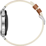 Умные часы Huawei Watch GT 6 41mm Brown (55020FVX)