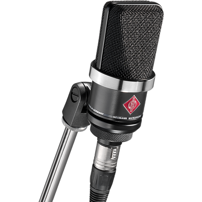 Микрофон Neumann TLM 102 BK - фото 3