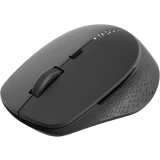 Мышь Rapoo M300L Silent Dark Grey (13324)