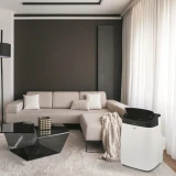 Мобильный кондиционер Ballu Smart Wind BPAC-09 SW/N1 (НС-1475349)