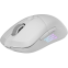 Мышь MSI Versa 300 ELITE White - S12-4301450-CLA - фото 2