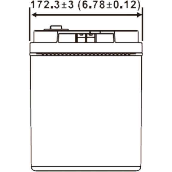 Аккумуляторная батарея WBR MB100-12 - фото 4