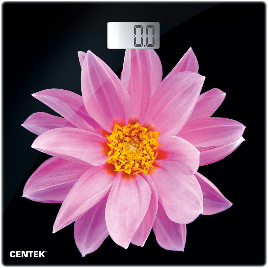 Напольные весы CENTEK CT-2416 Pink Flower