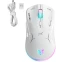 Мышь ONIKUMA CW917 White