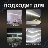 Гирлянда Neon-Night Home Еловый шлейф (131-005)