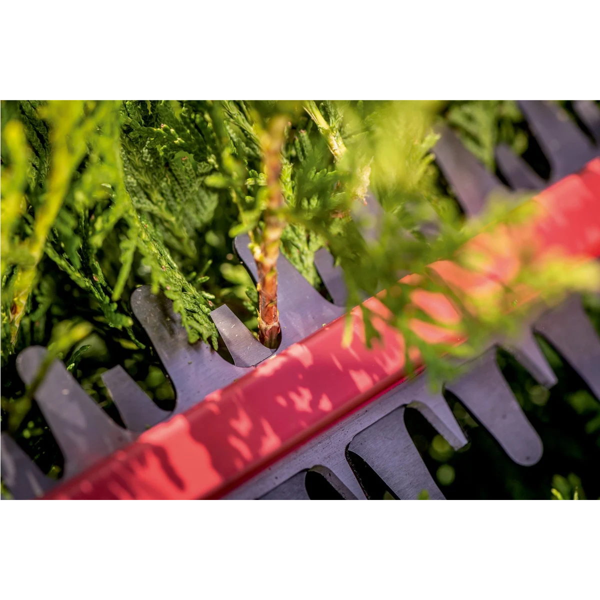 Кусторез Metabo HS 18 LTX 45 - 601717850 - фото 5