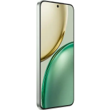 Смартфон Honor X9d 8/256Gb Forest Green (MTN-NX1) (5109BYKR)