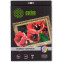Холст Cactus CS-СA426010