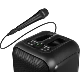 Портативная акустика Sven PS-880 Black (SV-022853)