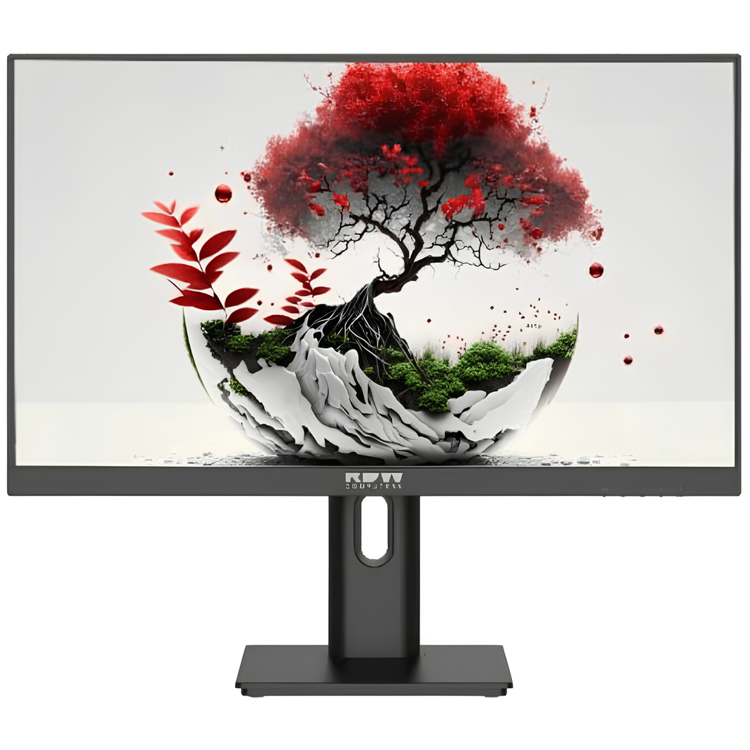 Монитор RDW Computers 24" 2401K (F08В3100V2A1) - RDW2401K/F08В3100V2A1