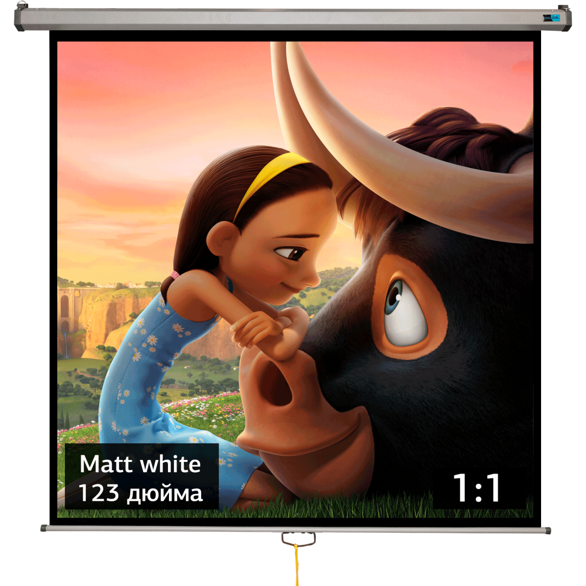 Экран Sakura SCPSW-220x220GR