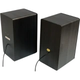 Колонки Dialog AST-20UP Black