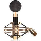 Микрофон Icon Aurora (110806A2001)