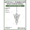 Подвеска Cinereplicas Lord of the Rings Necklace With Pendant Evenstar - CR3050 - фото 2