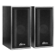 Колонки Ritmix SP-3035W Black
