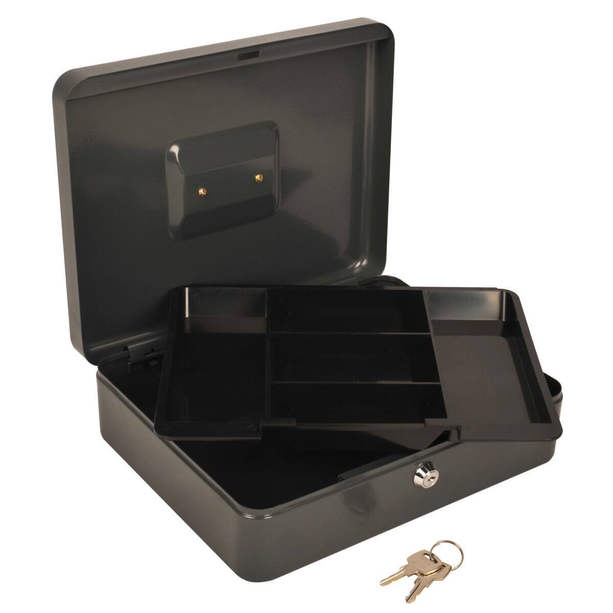 Ящик для денег Cactus CS-CB-004GY - фото 3