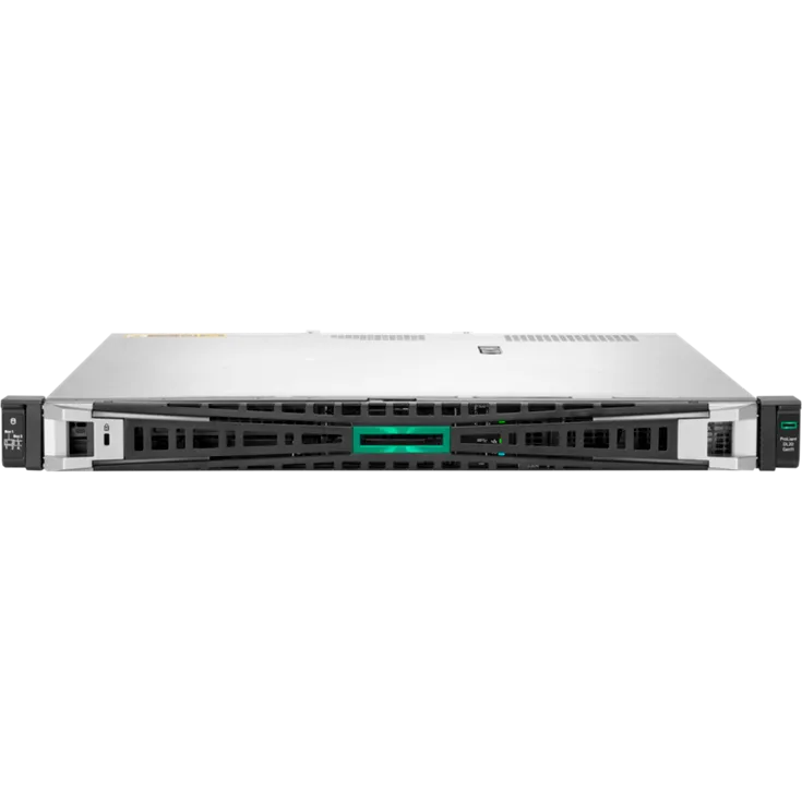 Сервер HPE Proliant DL20 Gen11 (P65396-B21)