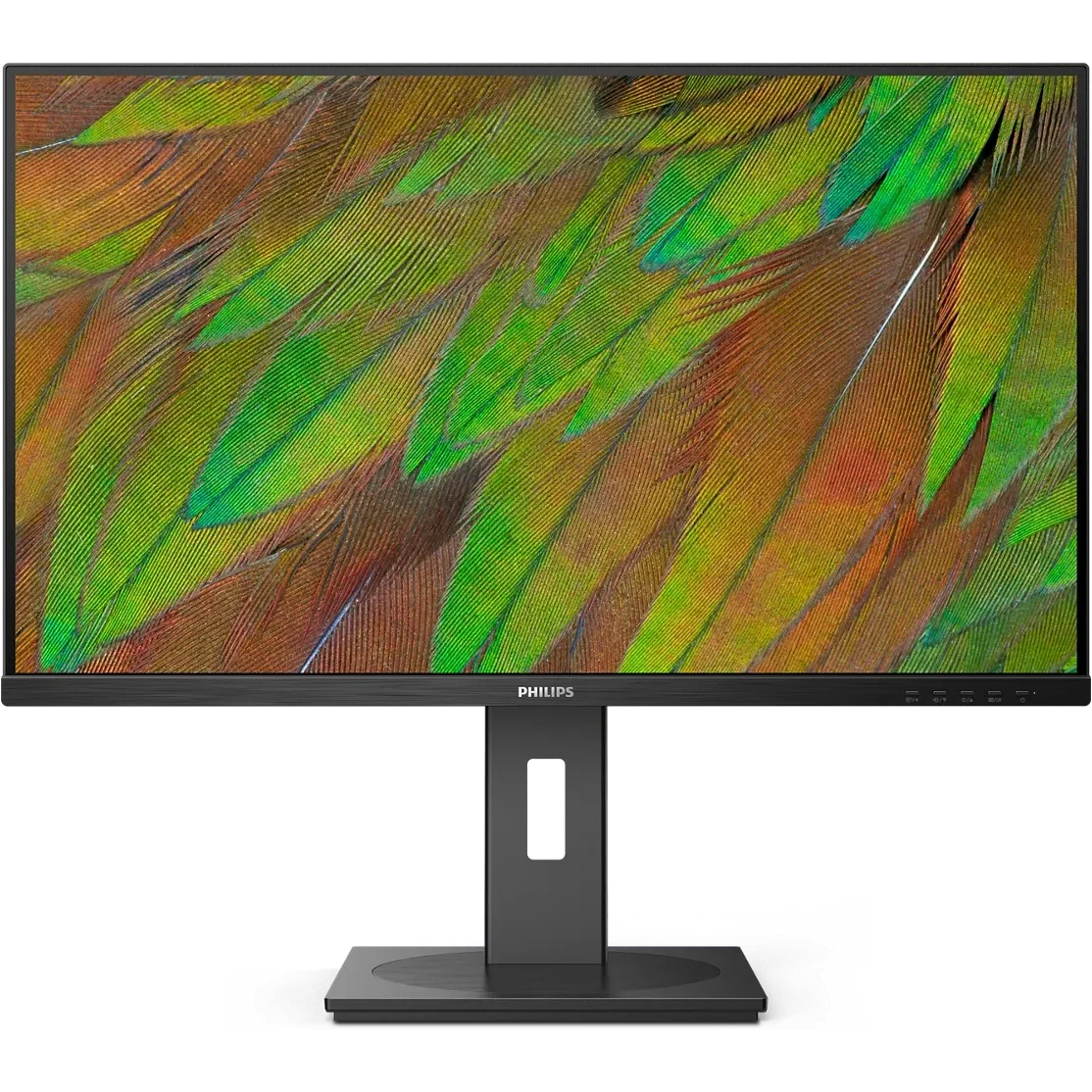 Монитор Philips 32" 32B1N3800 - 32B1N3800/00(01)