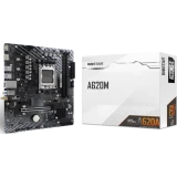 Материнская плата Biostar A620MS-E