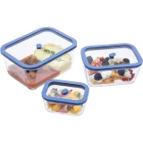 Вакуумные контейнеры Status Viva set 4 Lilac