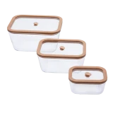 Вакуумные контейнеры Status Viva set 4 Salmon