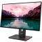 Монитор Lenovo 24" ThinkVision T24-40 (64A4MATXUK) - фото 2