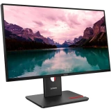 Монитор Lenovo 24" ThinkVision T24-40 (64A4MATXUK)