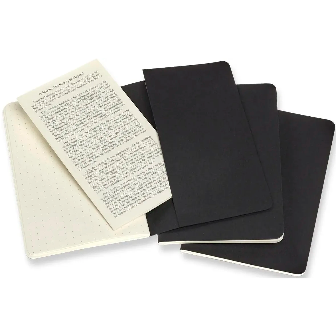 Блокнот Moleskine QP314 (3 шт.) - фото 9