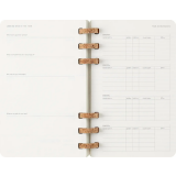 Еженедельник Moleskine DSSPB12AMWH3