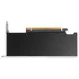 Видеокарта NVIDIA Quadro RTX PRO 2000 Blackwell 16Gb (900-5G195-2250-000) OEM