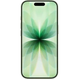 Смартфон Apple iPhone 17 256Gb Sage (eSIM-only) (без RuStore) (MG6C4(J,LL)/A)