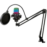 Микрофон Ritmix RDM-270 Black