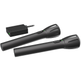 Микрофонная система Ritmix RWM-302 Black