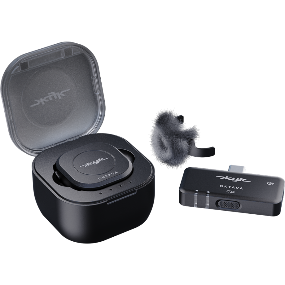 Микрофонная система Октава ЖУК-1-Ч