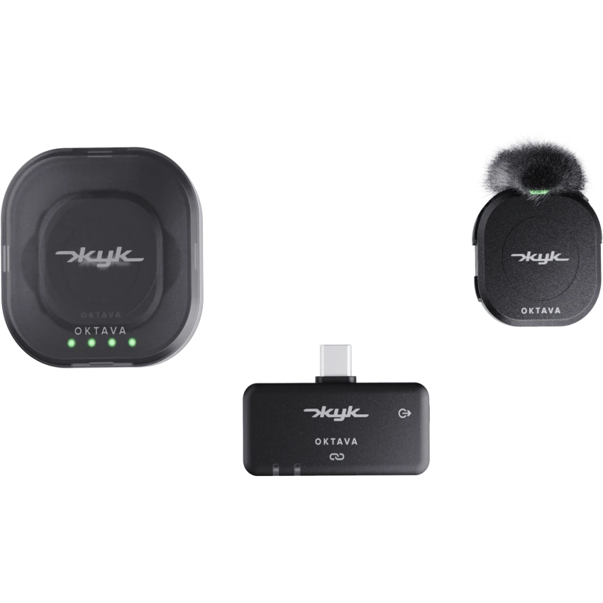 Микрофонная система Октава ЖУК-1-Ч - фото 2