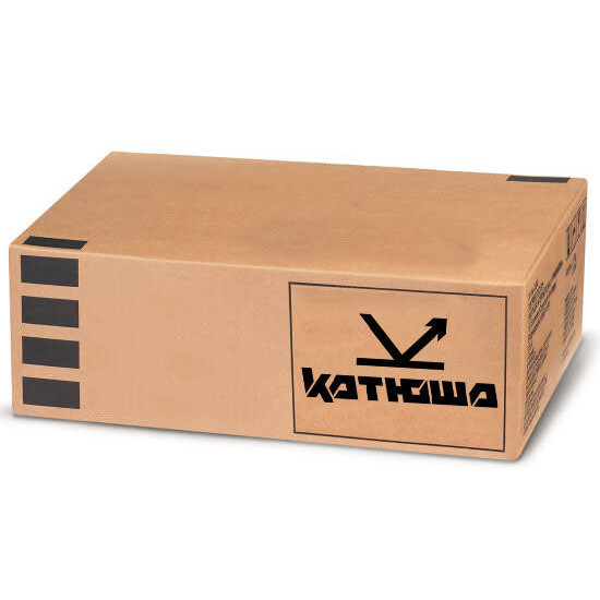 Модуль Wi-Fi Катюша BMM240-1