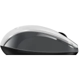 Мышь Genius NX-8008S White/Grey (31030028403)