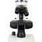 Микроскоп Levenhuk Discovery Pico Polar - 77977 - фото 3