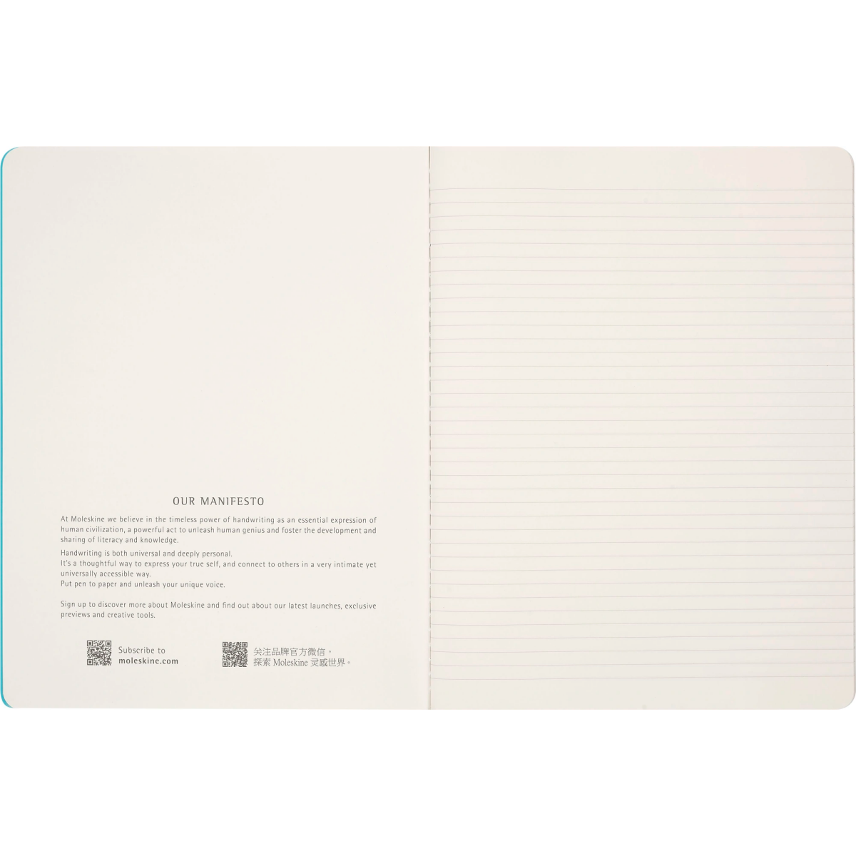 Блокнот Moleskine SKCAHXL6911S5NL - фото 4