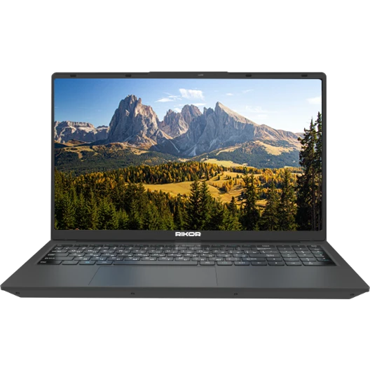 Ноутбук Rikor Neuro 3 15 P-01 (9866AB13)